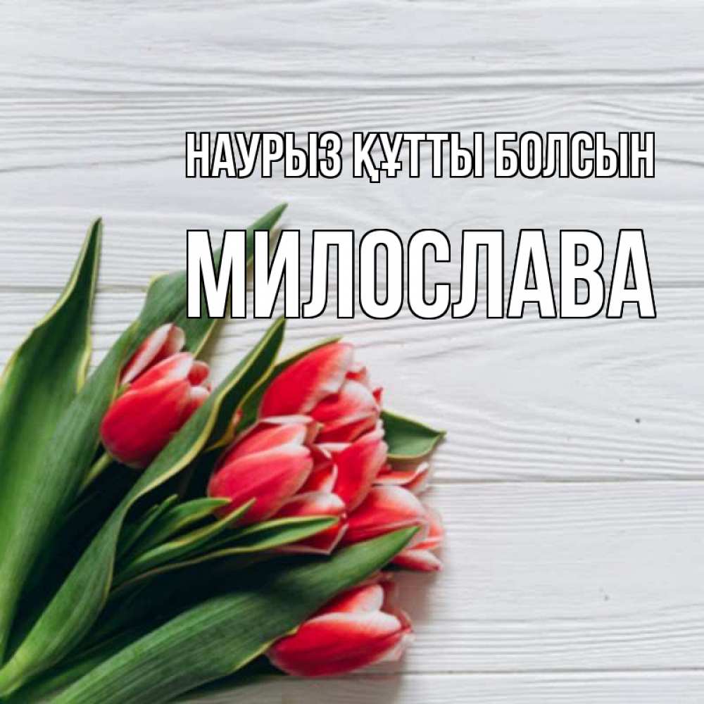Открытка на каждый день с именем, Милослава Наурыз құтты болсын весна 2 Прикольная открытка с пожеланием онлайн скачать бесплатно 
