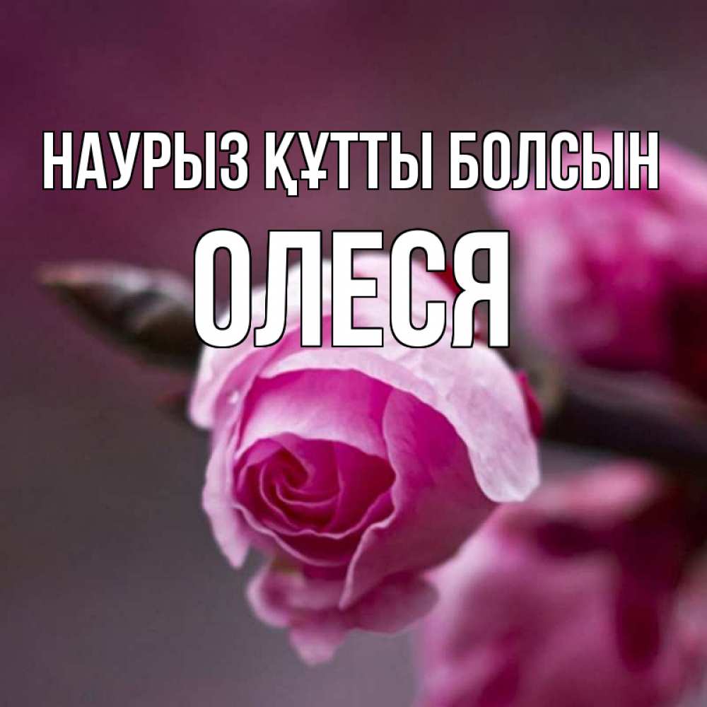Открытка на каждый день с именем, Олеся Наурыз құтты болсын весна Прикольная открытка с пожеланием онлайн скачать бесплатно 