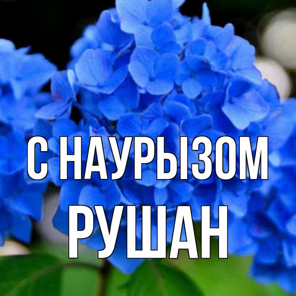 Открытка на каждый день с именем, Рушан С наурызом синие цветы Прикольная открытка с пожеланием онлайн скачать бесплатно 