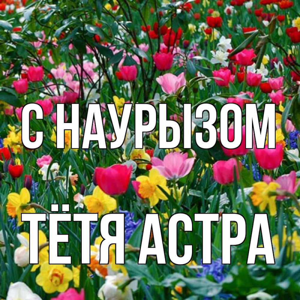 Открытка на каждый день с именем, Тётя-Астра С наурызом с наурызом праздником весны поздравления для женщины Прикольная открытка с пожеланием онлайн скачать бесплатно 