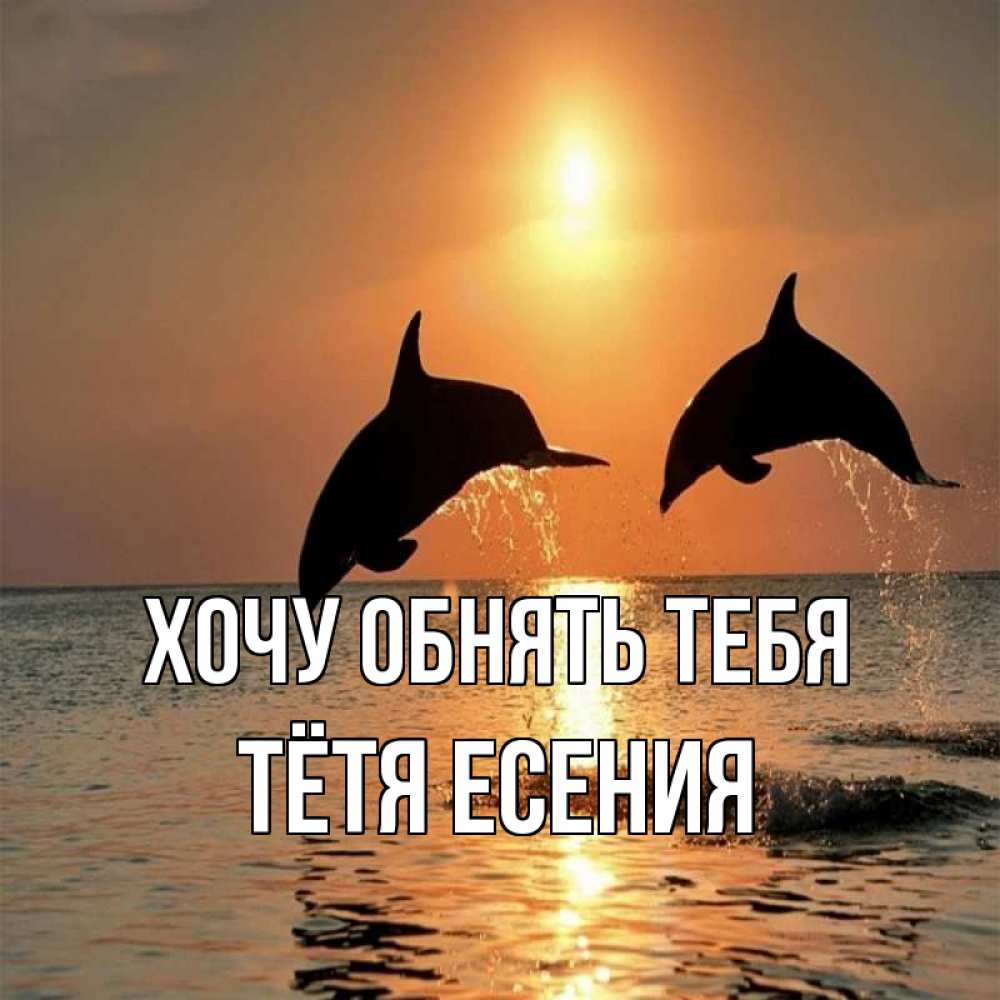 Открытка на каждый день с именем, Тётя-Есения Хочу обнять тебя рыбы на закате Прикольная открытка с пожеланием онлайн скачать бесплатно 