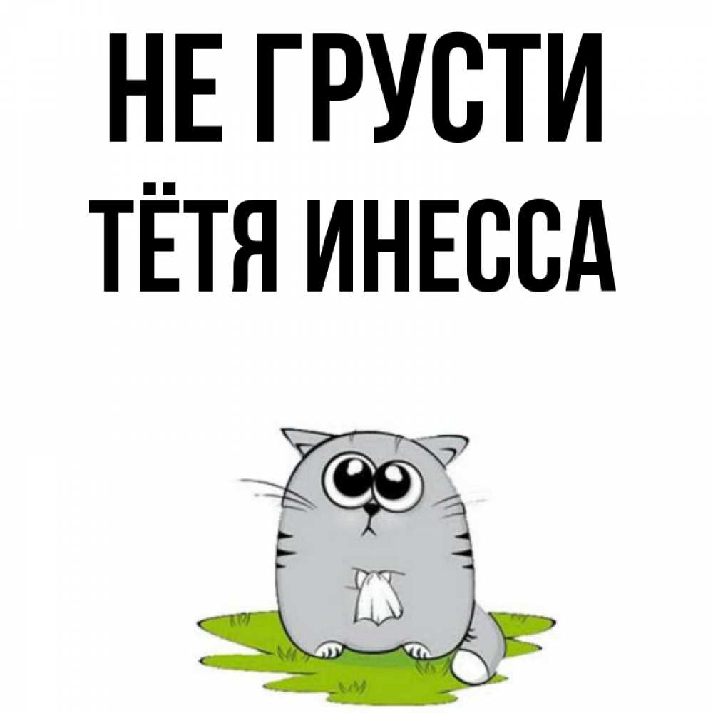 Открытка на каждый день с именем, Тётя-Инесса Не грусти грустный котяра Прикольная открытка с пожеланием онлайн скачать бесплатно 
