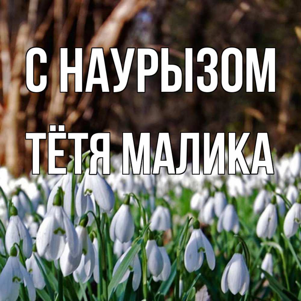 Открытка на каждый день с именем, Тётя-Малика С наурызом с подснежниками 1 Прикольная открытка с пожеланием онлайн скачать бесплатно 