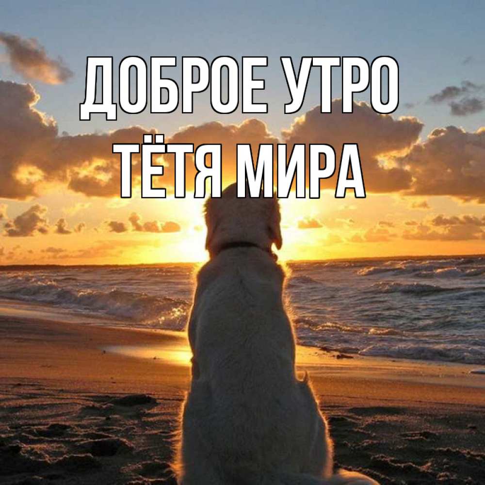 Открытка на каждый день с именем, Тётя-Мира Доброе утро восход солнца Прикольная открытка с пожеланием онлайн скачать бесплатно 