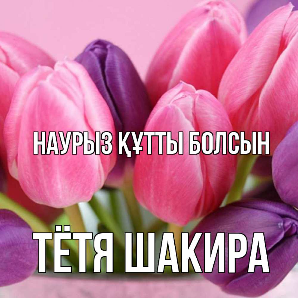 Открытка на каждый день с именем, Тётя-Шакира Наурыз құтты болсын маме 1 Прикольная открытка с пожеланием онлайн скачать бесплатно 