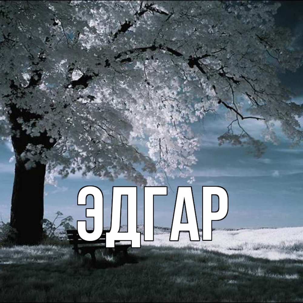 Открытка на каждый день с именем, Эдгар Главная дерево Прикольная открытка с пожеланием онлайн скачать бесплатно 