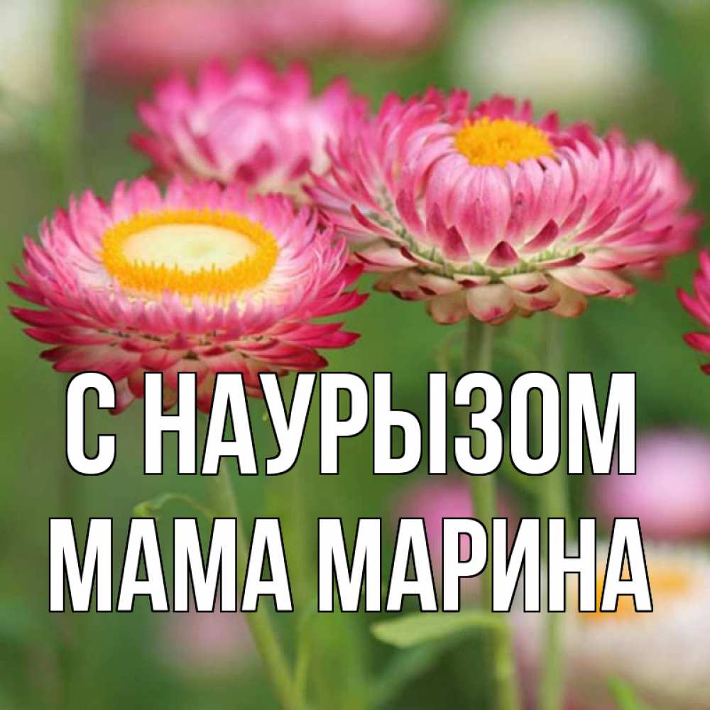 Открытка на каждый день с именем, Мама-Марина С наурызом подарок на международный женский день Прикольная открытка с пожеланием онлайн скачать бесплатно 