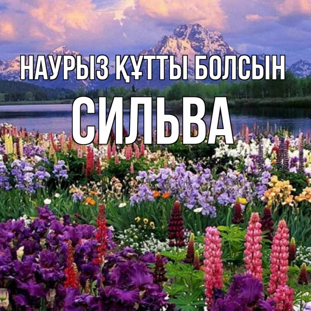 Открытка на каждый день с именем, Сильва Наурыз құтты болсын наурыз Прикольная открытка с пожеланием онлайн скачать бесплатно 