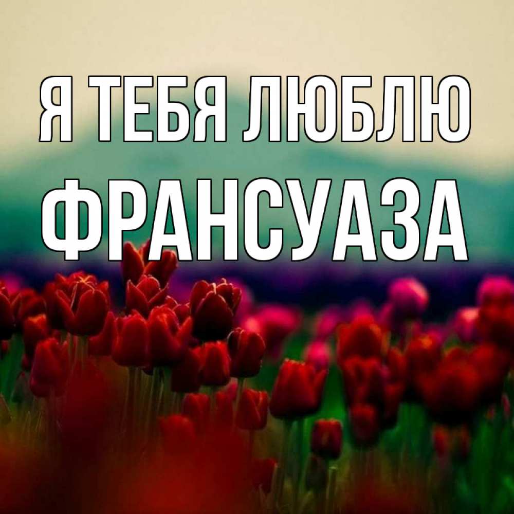 Открытка на каждый день с именем, Франсуаза Я тебя люблю тюльпаны 4 Прикольная открытка с пожеланием онлайн скачать бесплатно 