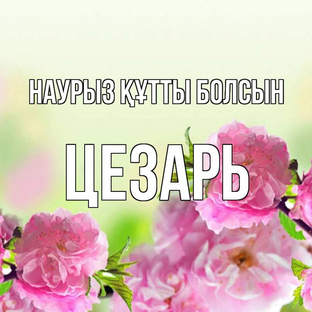 Открытка на каждый день с именем, Цезарь Наурыз құтты болсын цветы Прикольная открытка с пожеланием онлайн скачать бесплатно 