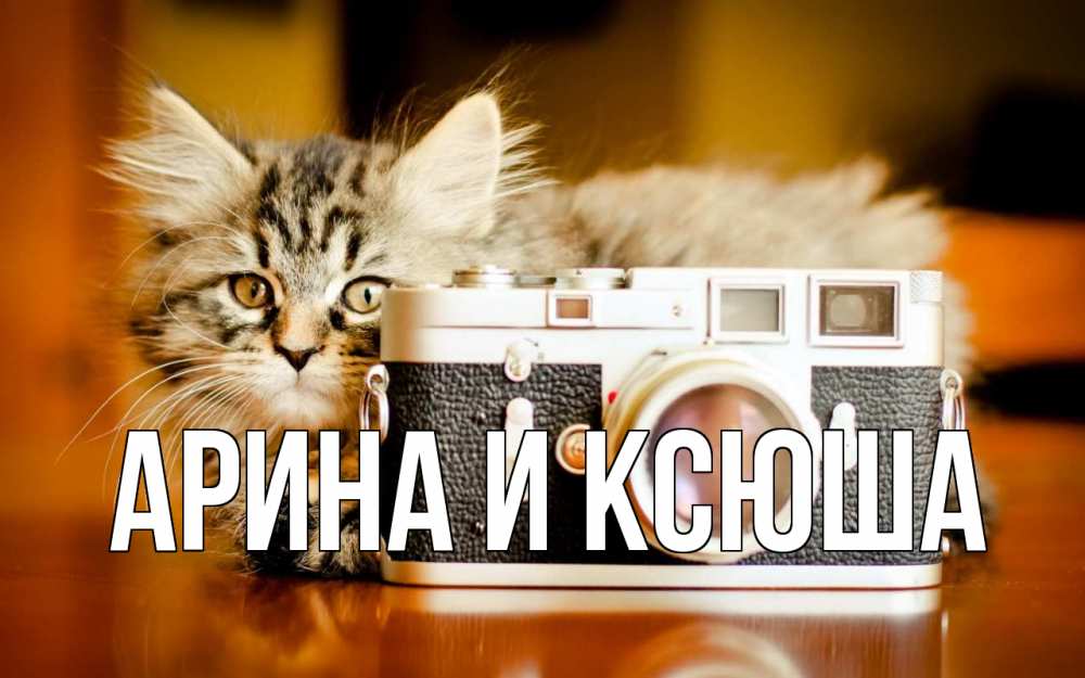 Открытка на каждый день с именем, Арина-и-Ксюша Главная с днем фотографа Прикольная открытка с пожеланием онлайн скачать бесплатно 