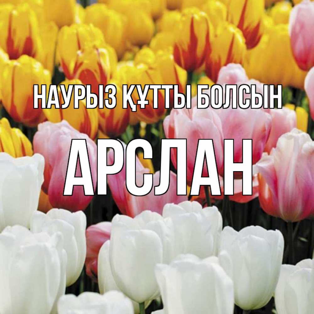 Открытка на каждый день с именем, Арслан Наурыз құтты болсын разноцветные цветы Прикольная открытка с пожеланием онлайн скачать бесплатно 
