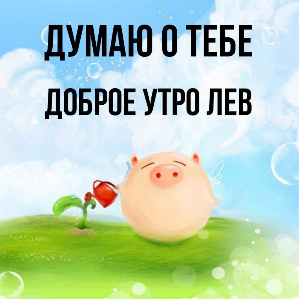 Левое утро