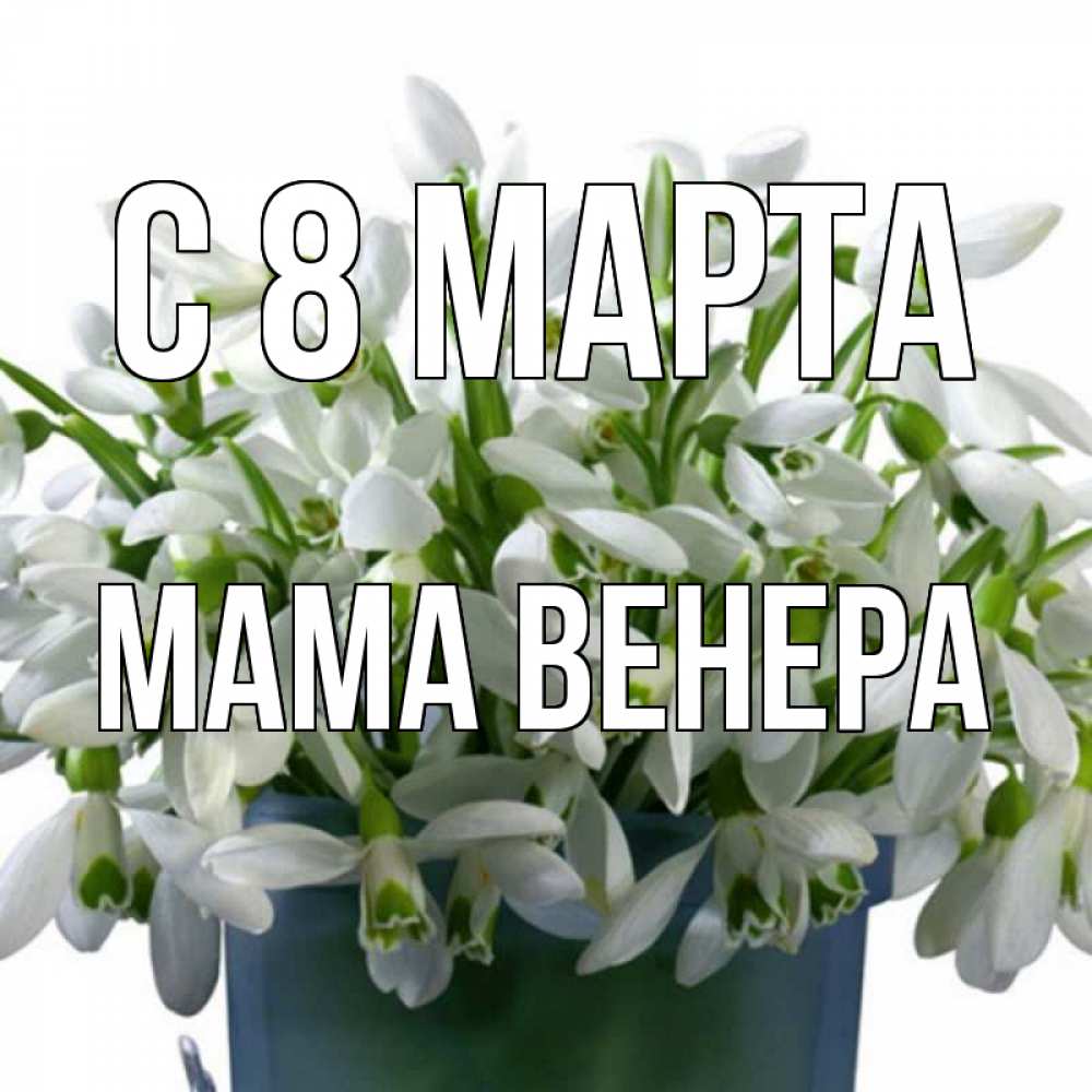 Открытка на каждый день с именем, Мама-Венера С 8 МАРТА цветы к международному женскому дню Прикольная открытка с пожеланием онлайн скачать бесплатно 