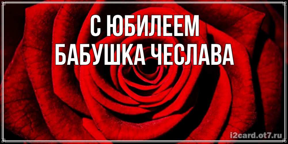 Открытка на каждый день с именем, Бабушка-Чеслава С юбилеем алая роза Прикольная открытка с пожеланием онлайн скачать бесплатно 