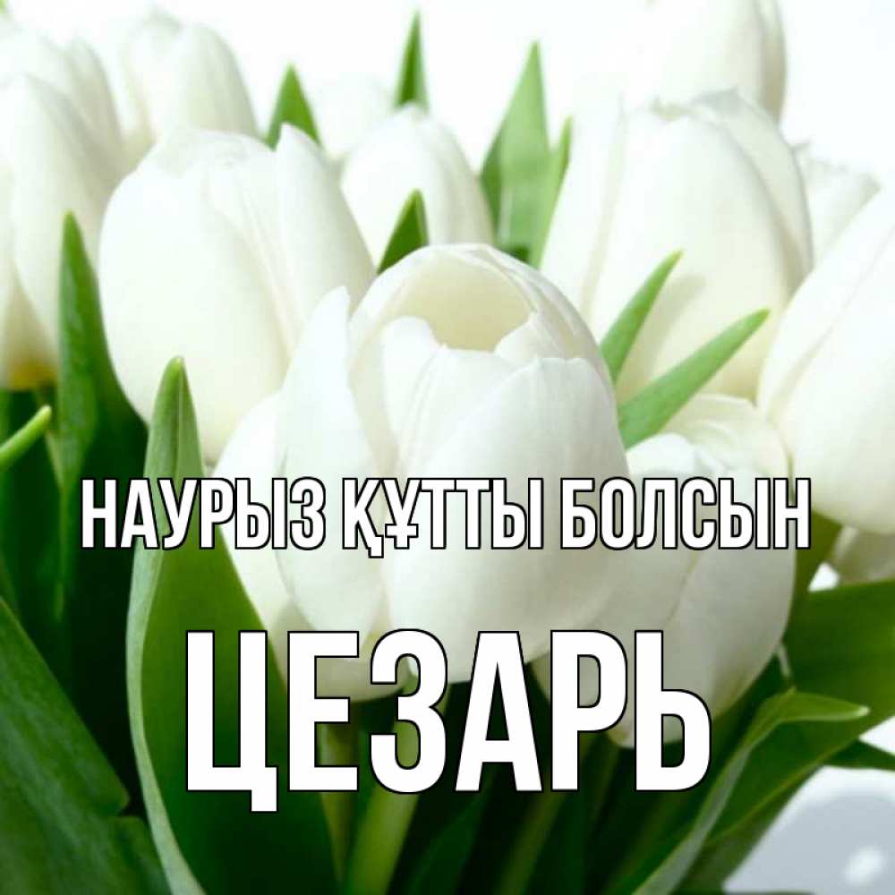 Открытка на каждый день с именем, Цезарь Наурыз құтты болсын цветы Прикольная открытка с пожеланием онлайн скачать бесплатно 