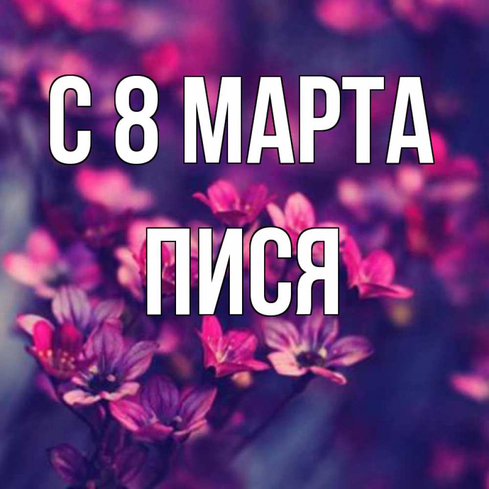 Картинка С 8 МАРТА, Пися