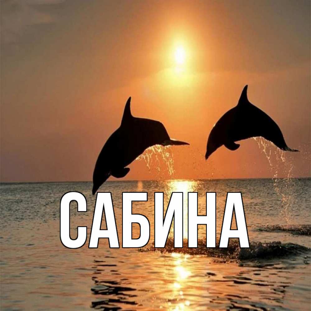 Открытка на каждый день с именем, Сабина Главная рыбы на закате Прикольная открытка с пожеланием онлайн скачать бесплатно 