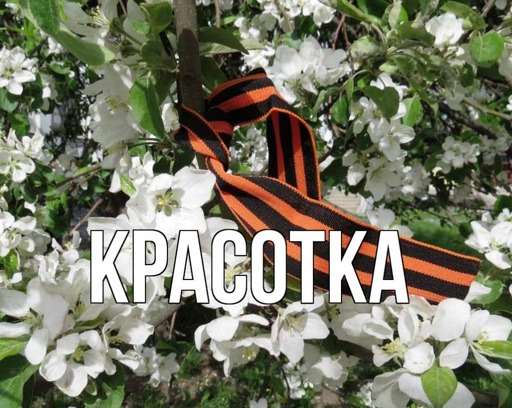 Открытка на каждый день с именем, красотка Главная 9 мая Прикольная открытка с пожеланием онлайн скачать бесплатно 