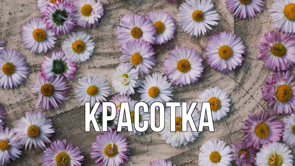 Открытка на каждый день с именем, красотка Главная с днем семьи Прикольная открытка с пожеланием онлайн скачать бесплатно 