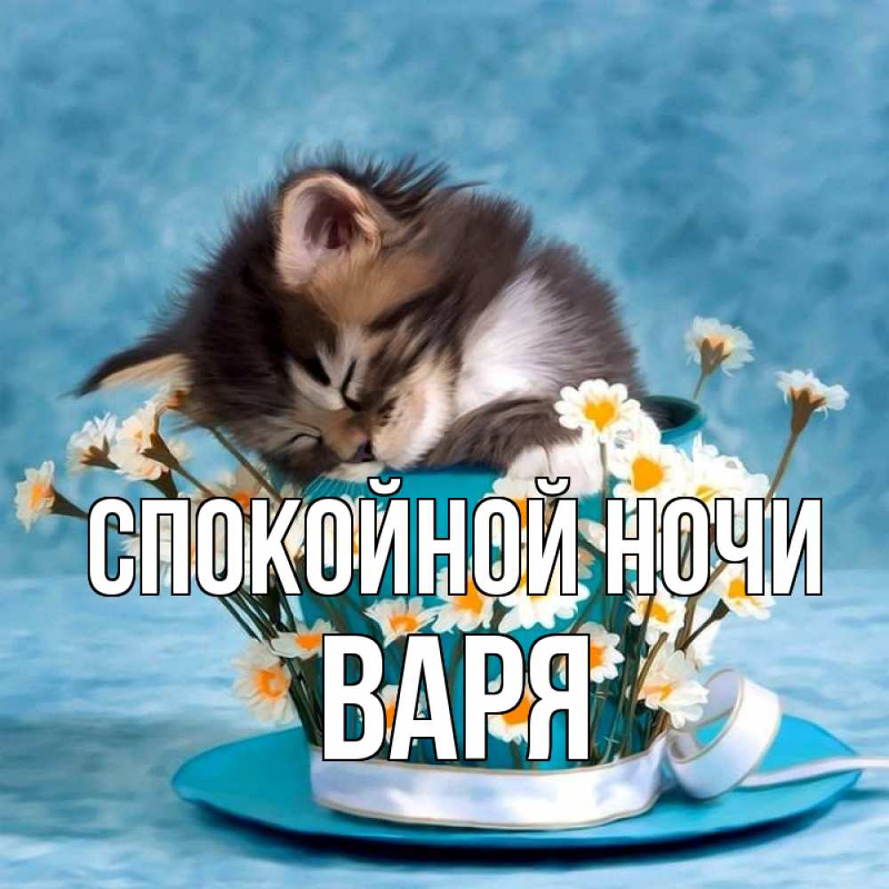 Открытка на каждый день с именем, Варя Спокойной ночи котенок спит в кружке с блюдцем Прикольная открытка с пожеланием онлайн скачать бесплатно 