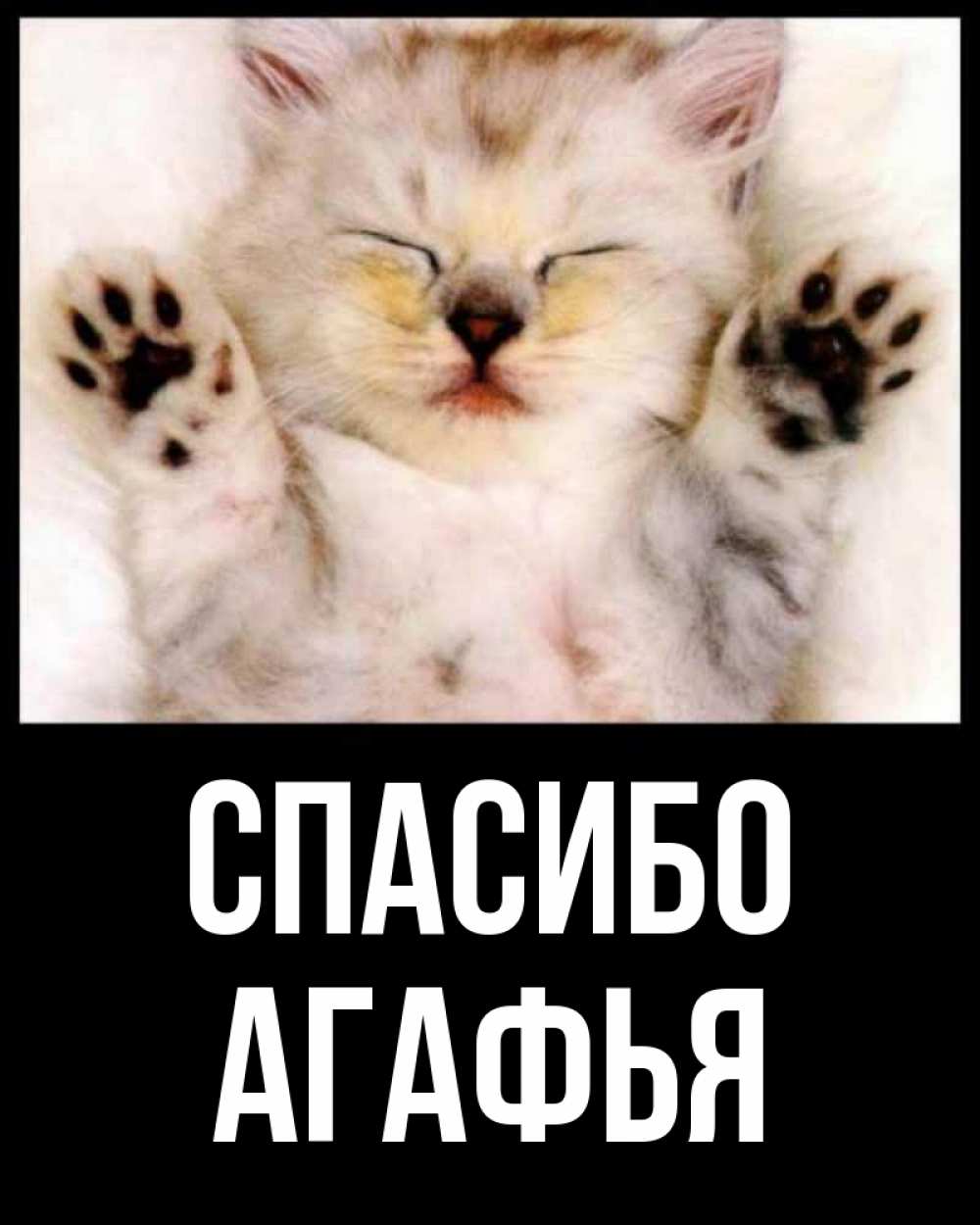 Открытка на каждый день с именем, Агафья Спасибо маленький котенок Прикольная открытка с пожеланием онлайн скачать бесплатно 