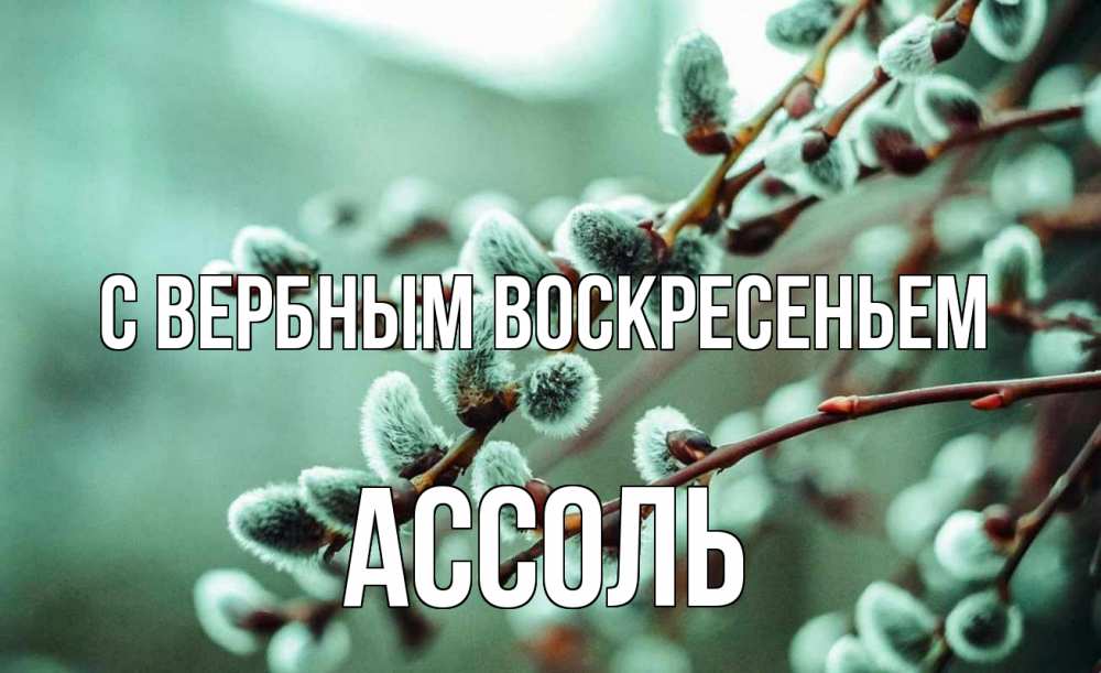 Открытка на каждый день с именем, Ассоль С вербным воскресеньем верба Прикольная открытка с пожеланием онлайн скачать бесплатно 