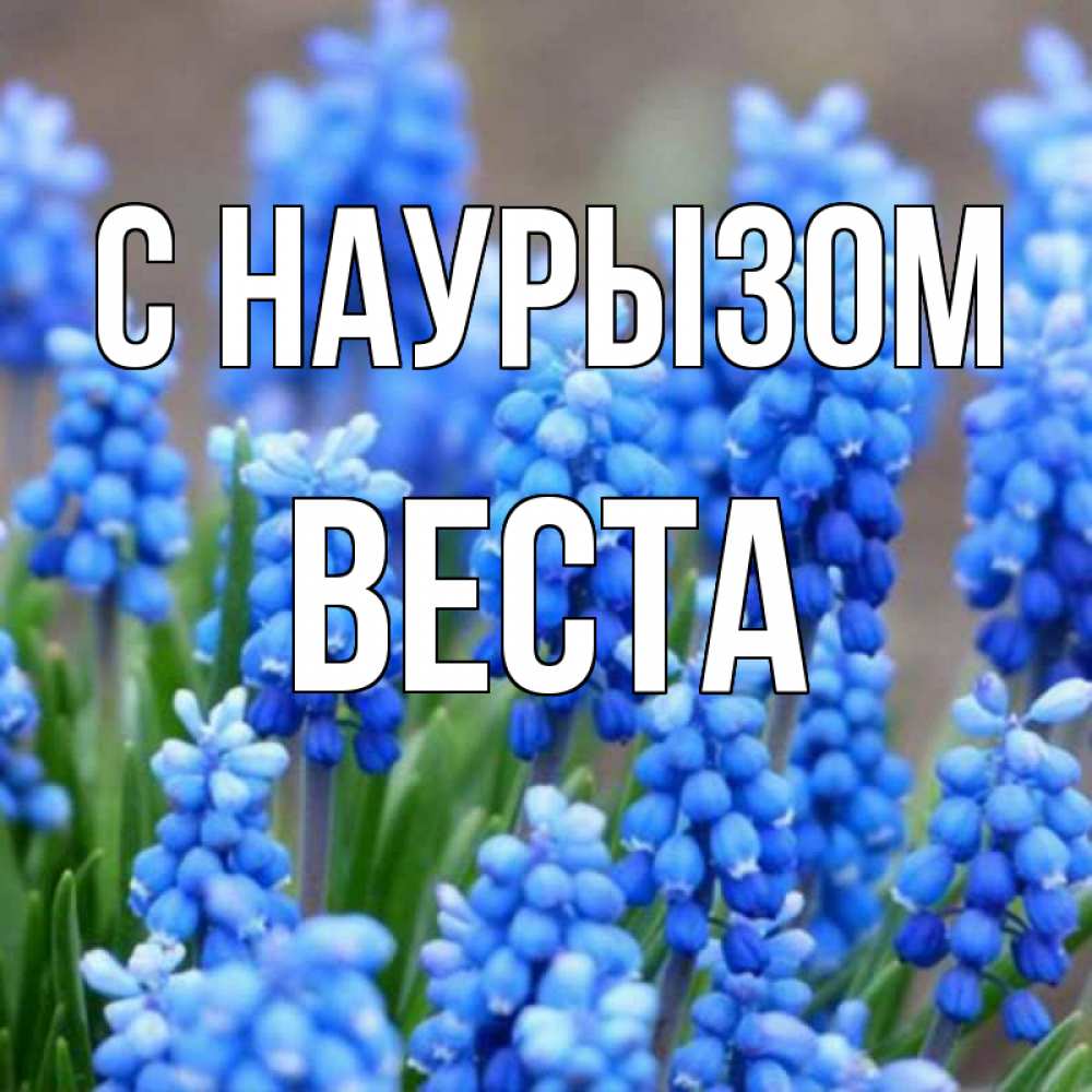 Открытка на каждый день с именем, Веста С наурызом Поздравительная открытка для женщин с цветами на праздничную дату Прикольная открытка с пожеланием онлайн скачать бесплатно 