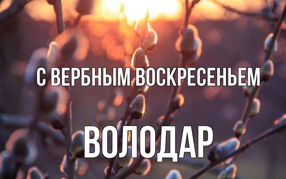 Открытка на каждый день с именем, Володар С вербным воскресеньем верба Прикольная открытка с пожеланием онлайн скачать бесплатно 