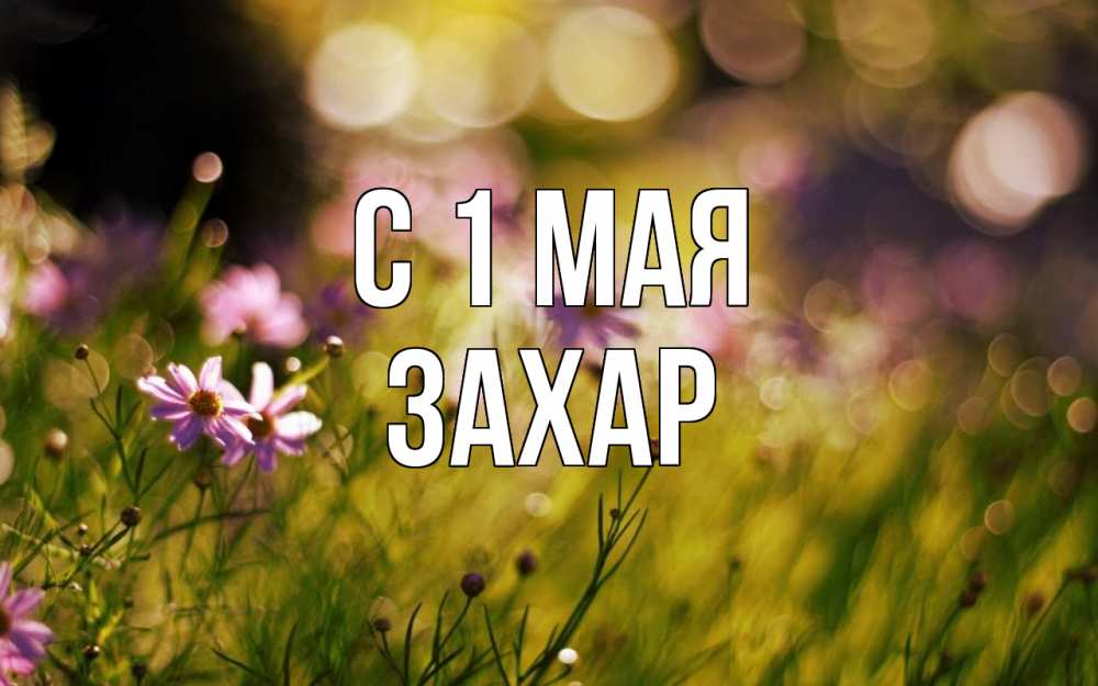 Открытка на каждый день с именем, Захар С 1 мая С 1 мая Прикольная открытка с пожеланием онлайн скачать бесплатно 
