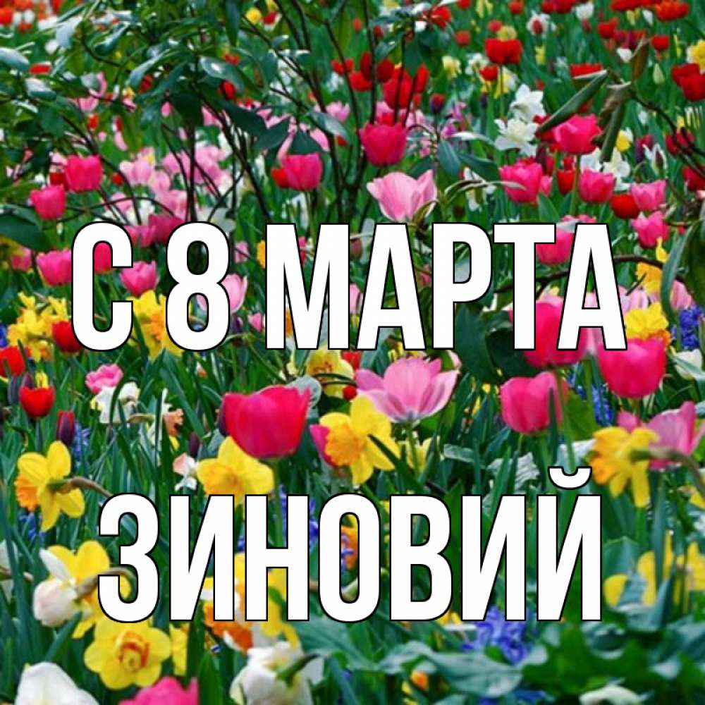 Открытка на каждый день с именем, Зиновий С 8 МАРТА с международным женским днем поздравления для женщины Прикольная открытка с пожеланием онлайн скачать бесплатно 