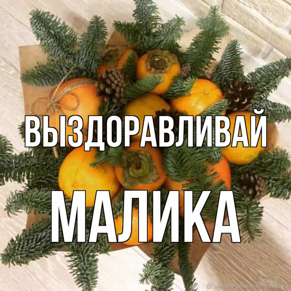 Открытка на каждый день с именем, Малика Выздоравливай апельсины и хурьма Прикольная открытка с пожеланием онлайн скачать бесплатно 