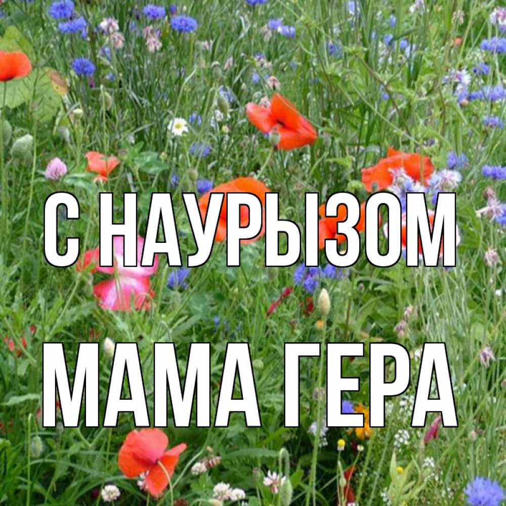 Открытка на каждый день с именем, Мама-Гера С наурызом праздник весны наурыз супер открытка Прикольная открытка с пожеланием онлайн скачать бесплатно 