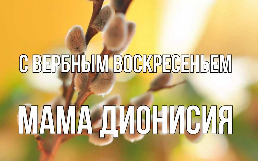 Открытка на каждый день с именем, Мама-Дионисия С вербным воскресеньем верба Прикольная открытка с пожеланием онлайн скачать бесплатно 