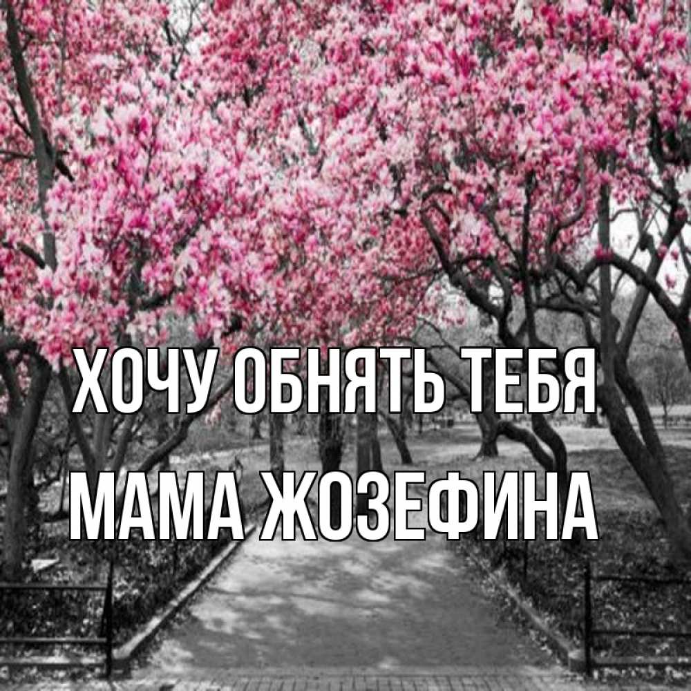 Открытка на каждый день с именем, Мама-Жозефина Хочу обнять тебя обработанное фото Прикольная открытка с пожеланием онлайн скачать бесплатно 