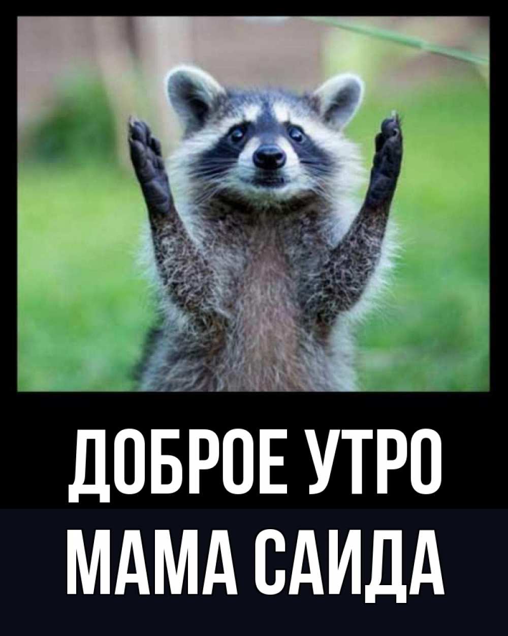 Открытка на каждый день с именем, Мама-Саида Доброе утро хорошее настроение утречком Прикольная открытка с пожеланием онлайн скачать бесплатно 
