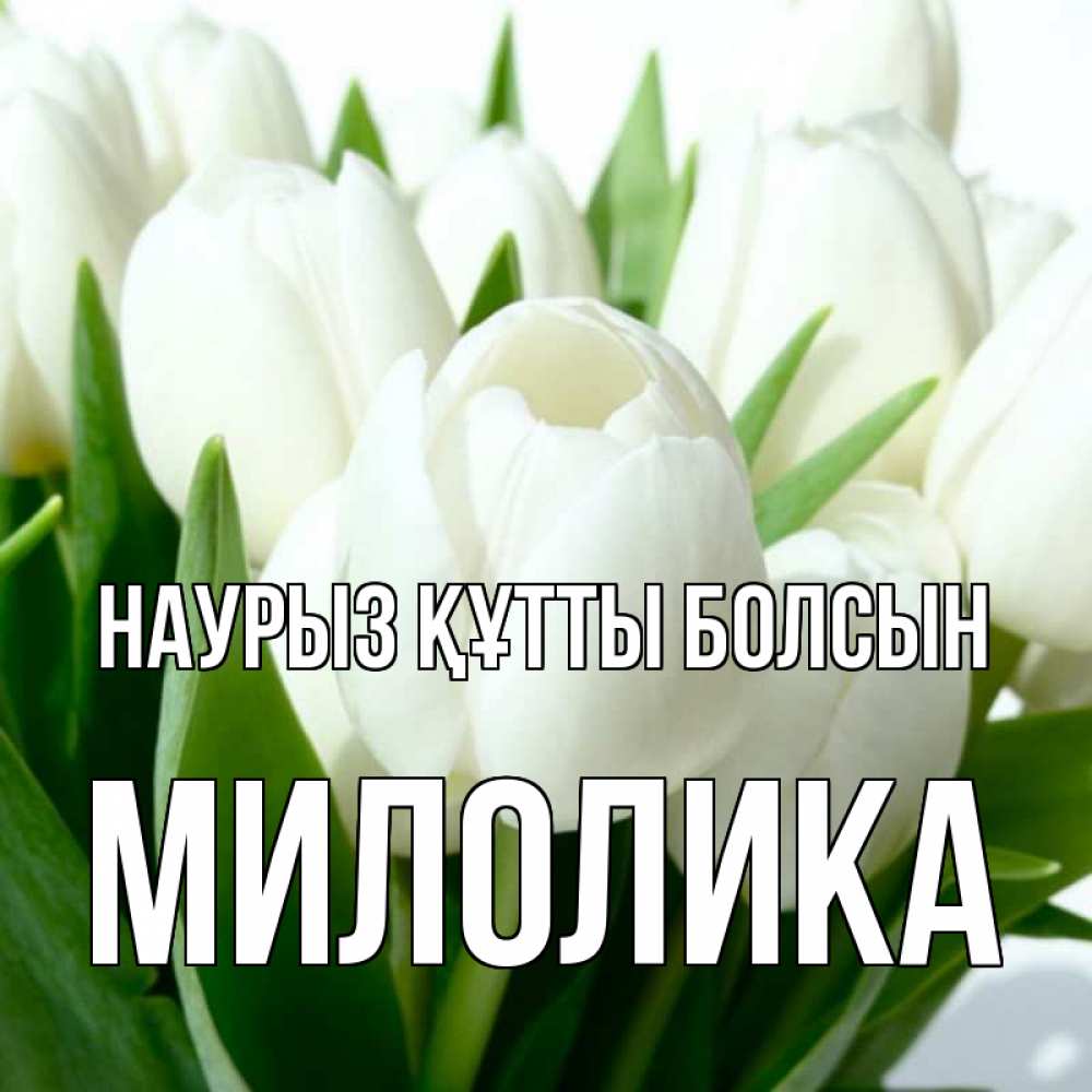 Открытка на каждый день с именем, Милолика Наурыз құтты болсын цветы Прикольная открытка с пожеланием онлайн скачать бесплатно 