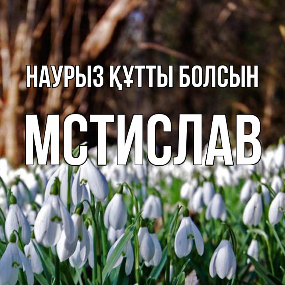 Открытка на каждый день с именем, Мстислав Наурыз құтты болсын с подснежниками 1 Прикольная открытка с пожеланием онлайн скачать бесплатно 