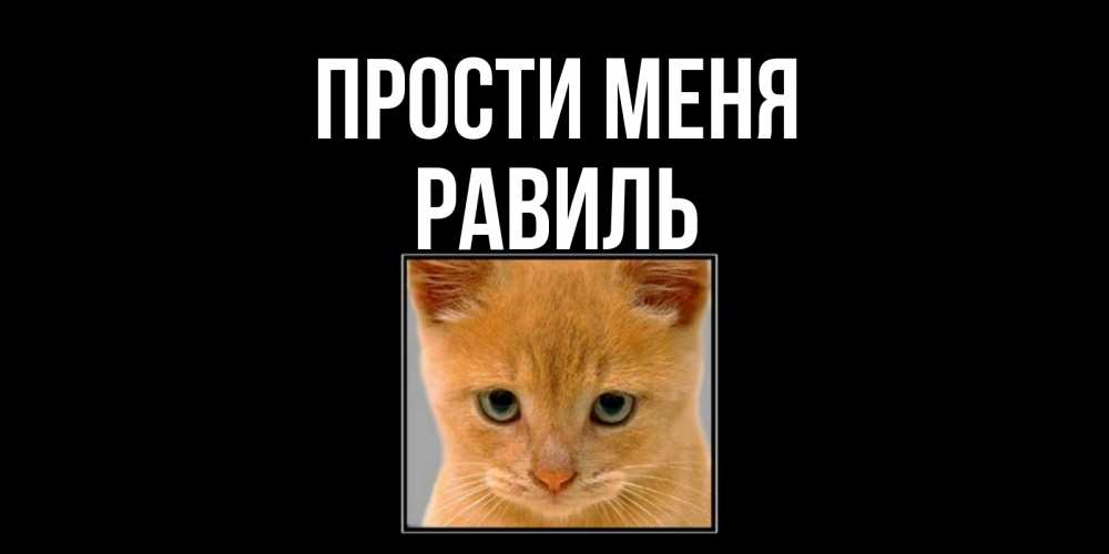 Открытка на каждый день с именем, Равиль Прости меня рыжий грустный кот просит прощения Прикольная открытка с пожеланием онлайн скачать бесплатно 