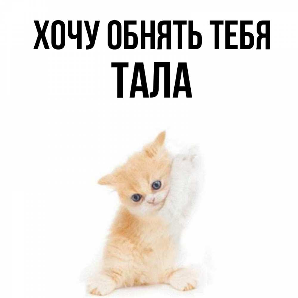 Открытка на каждый день с именем, Тала Хочу обнять тебя я хочу очень скорее обнимаешек Прикольная открытка с пожеланием онлайн скачать бесплатно 