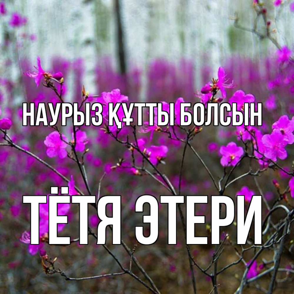 Открытка на каждый день с именем, Тётя-Этери Наурыз құтты болсын дикие цветы Прикольная открытка с пожеланием онлайн скачать бесплатно 