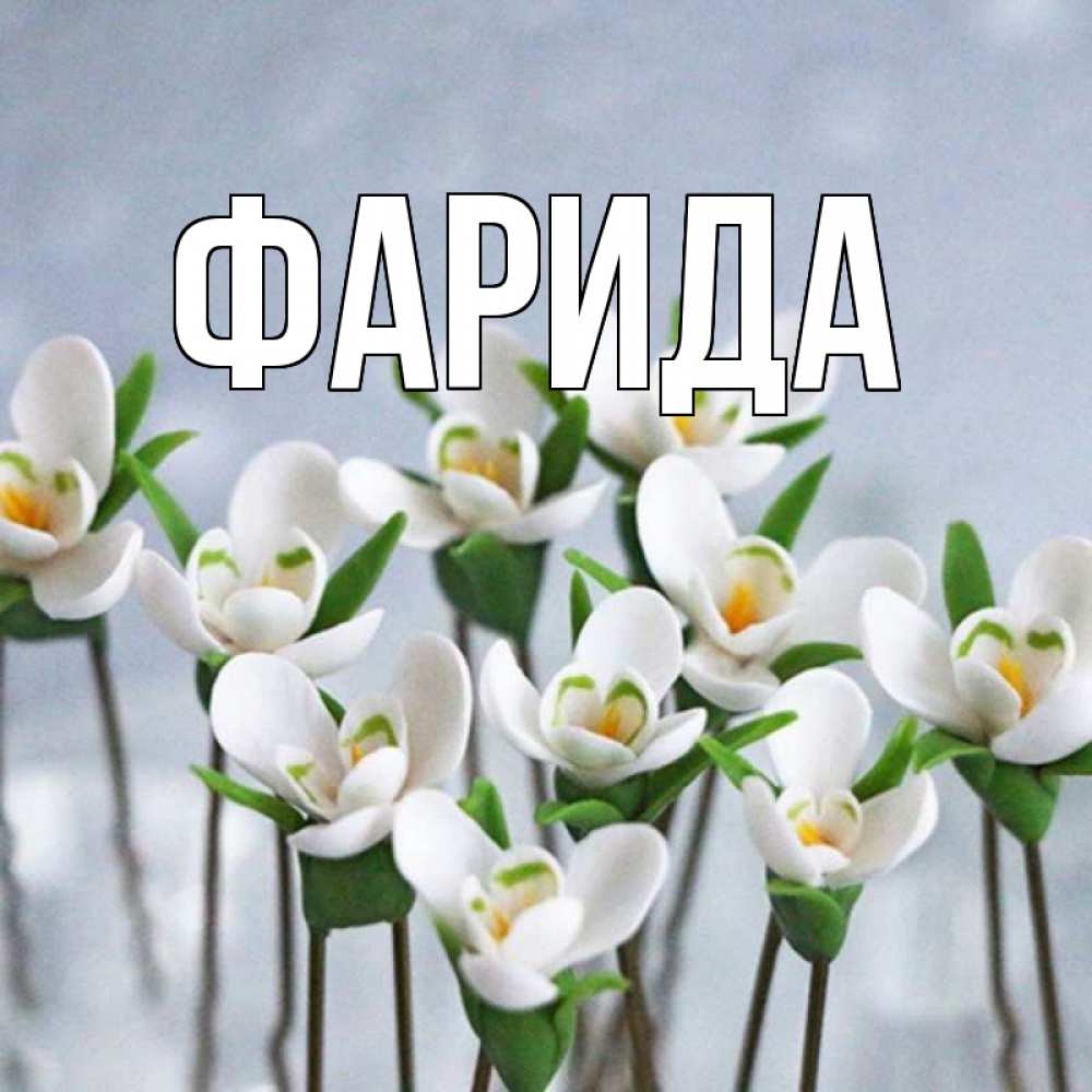 Открытка на каждый день с именем, Фарида Главная весенние цветы Прикольная открытка с пожеланием онлайн скачать бесплатно 