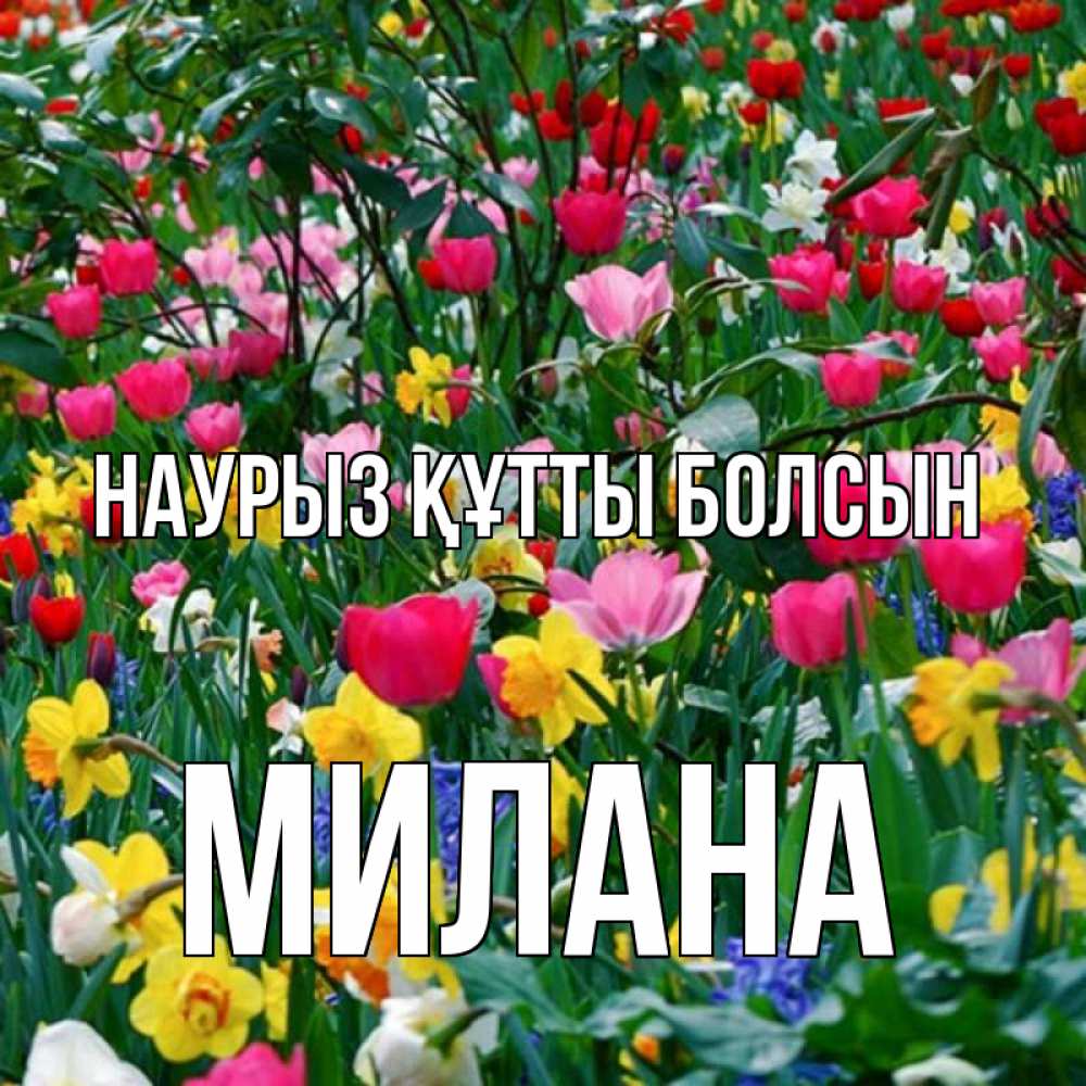 Открытка на каждый день с именем, Милана Наурыз құтты болсын с наурызом поздравления для женщины Прикольная открытка с пожеланием онлайн скачать бесплатно 