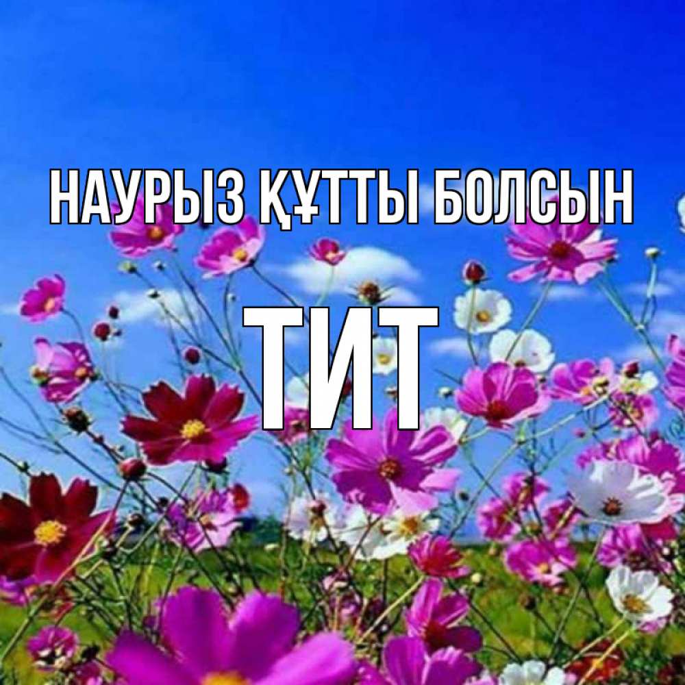 Открытка на каждый день с именем, Тит Наурыз құтты болсын цветы Прикольная открытка с пожеланием онлайн скачать бесплатно 