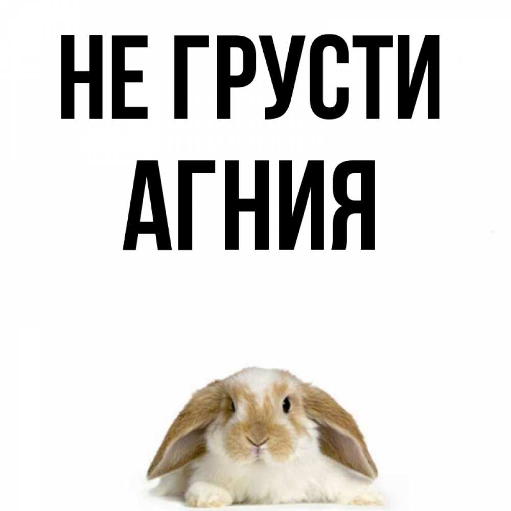 Открытка на каждый день с именем, Агния Не грусти коричнево белый заяц с большими ушками Прикольная открытка с пожеланием онлайн скачать бесплатно 