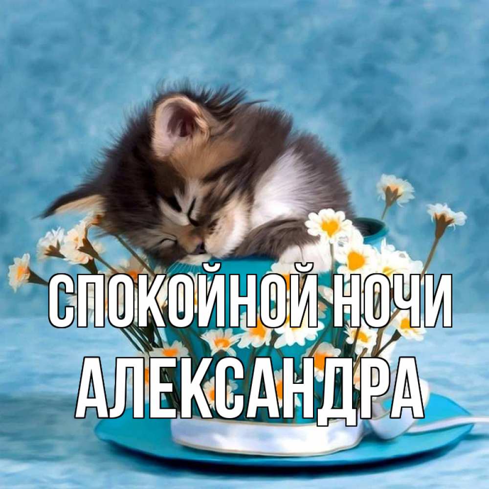 Открытка на каждый день с именем, Александра Спокойной ночи котенок спит в кружке с блюдцем Прикольная открытка с пожеланием онлайн скачать бесплатно 
