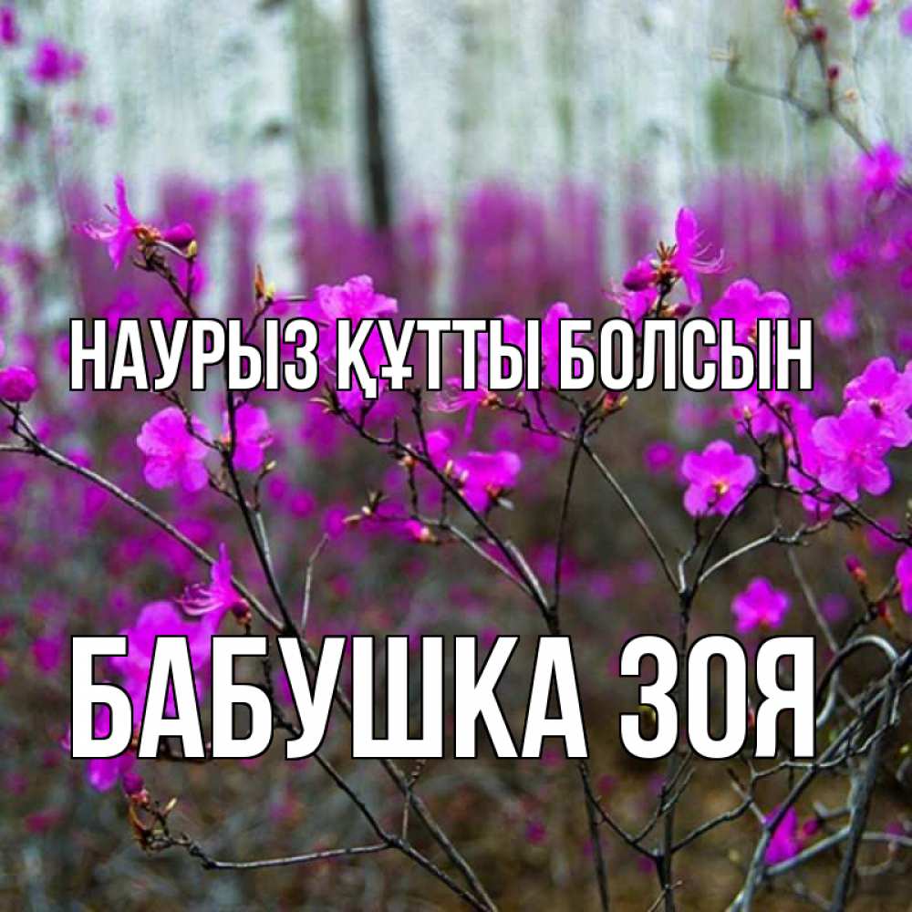 Открытка на каждый день с именем, Бабушка-Зоя Наурыз құтты болсын дикие цветы Прикольная открытка с пожеланием онлайн скачать бесплатно 