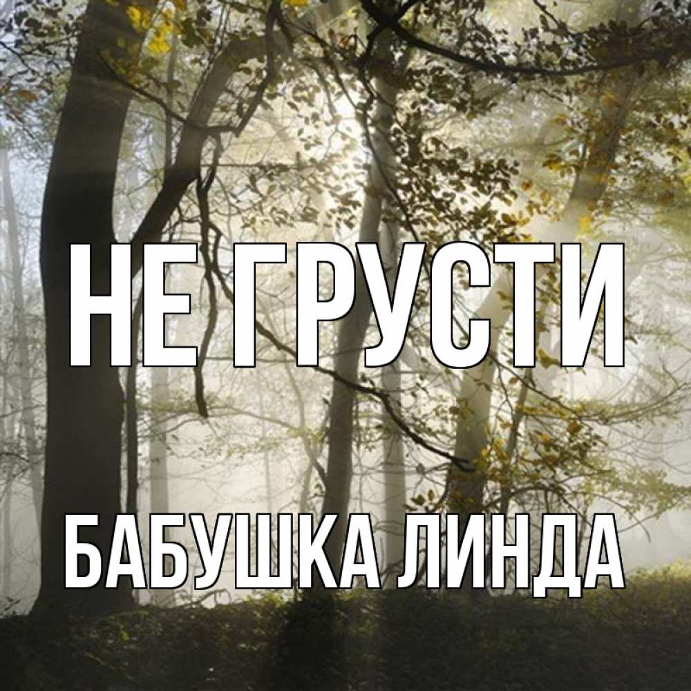 Открытка на каждый день с именем, Бабушка-Линда Не грусти лес и свет Прикольная открытка с пожеланием онлайн скачать бесплатно 