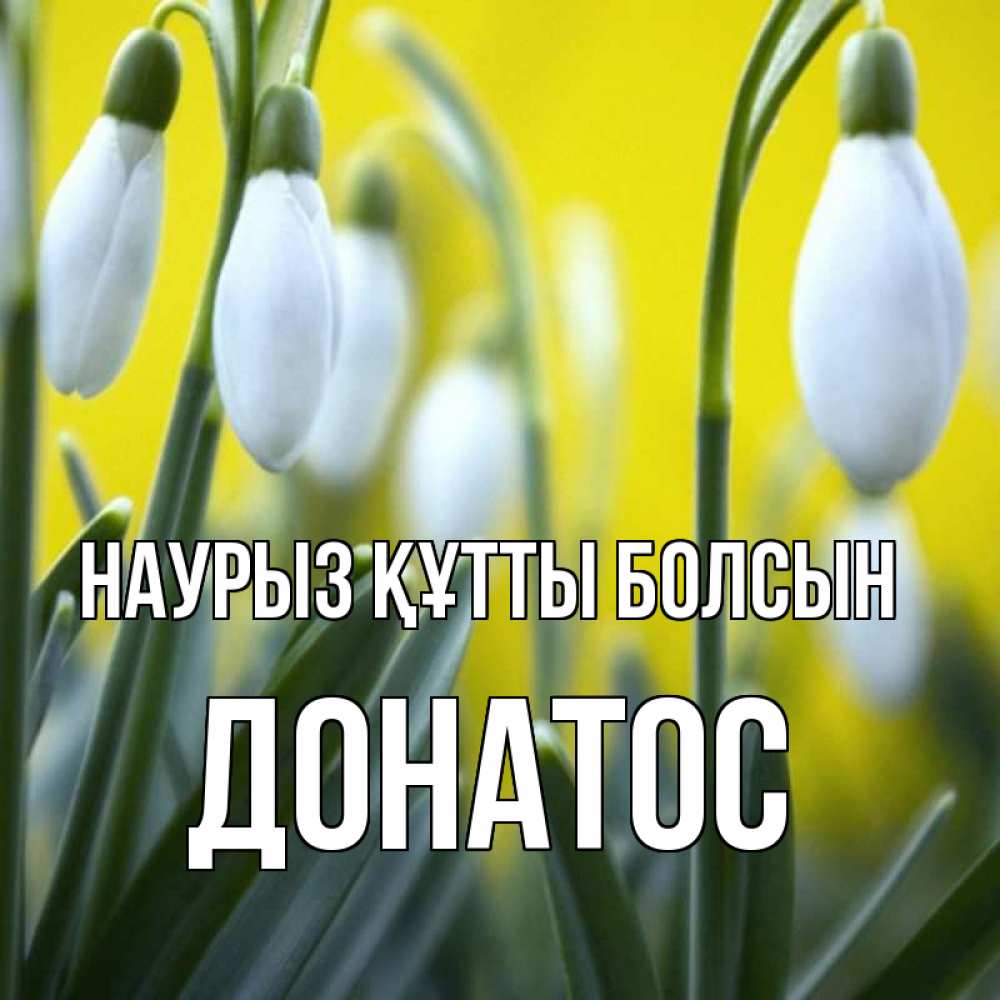 Открытка на каждый день с именем, Донатос Наурыз құтты болсын весенние цветы Прикольная открытка с пожеланием онлайн скачать бесплатно 