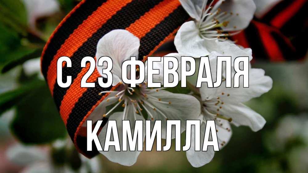 Открытка на каждый день с именем, Камилла С 23 февраля 23 февраля Прикольная открытка с пожеланием онлайн скачать бесплатно 